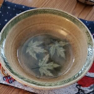 Leaf Design Ceramic Bowl
